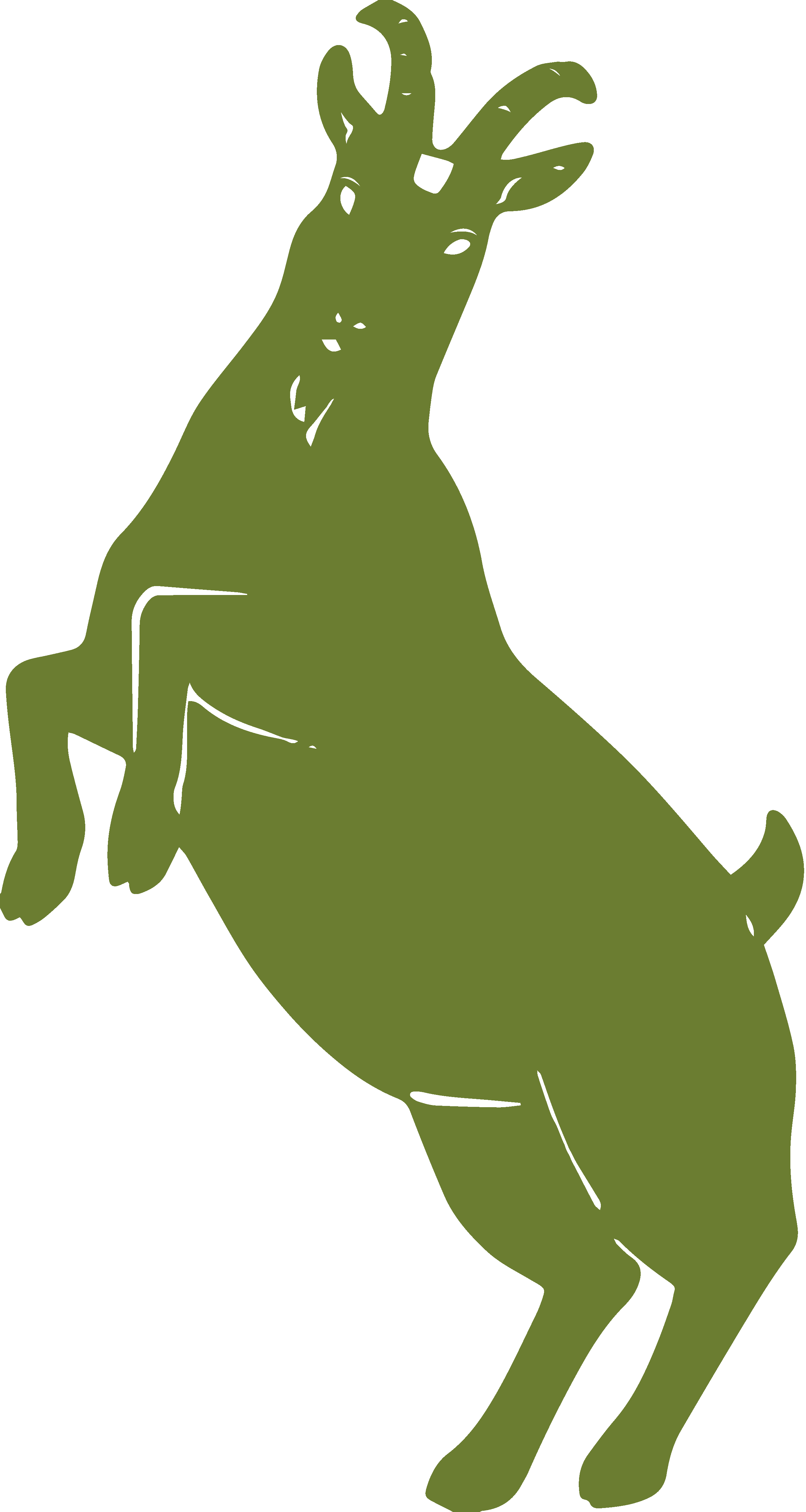 Dancing Goat Gardens Dispensary Recreational & Medical Marijuana Menu